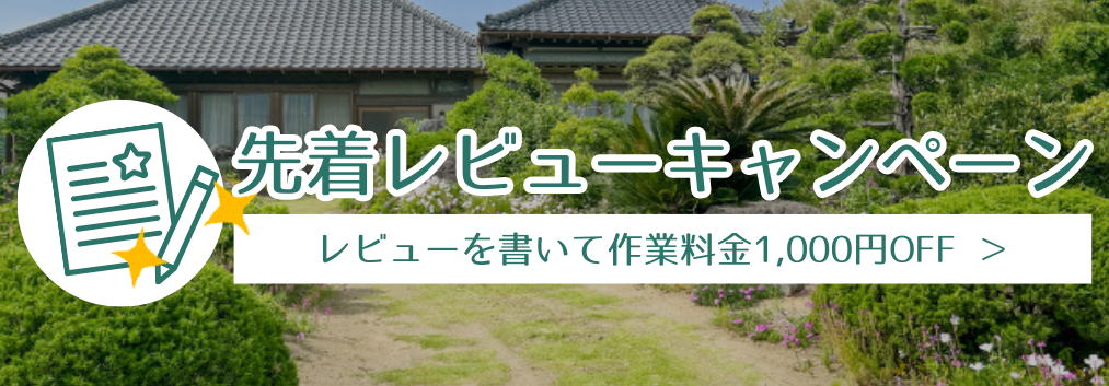 先着レビューキャンペーン