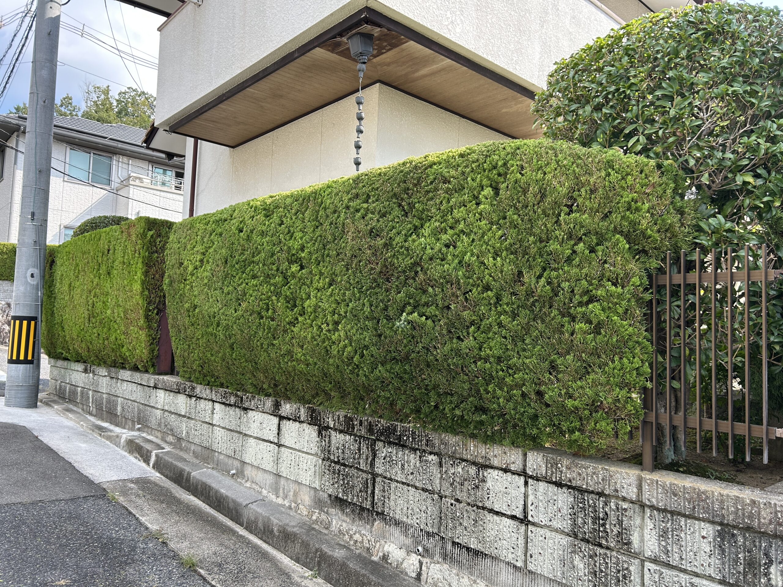 庭木の剪定